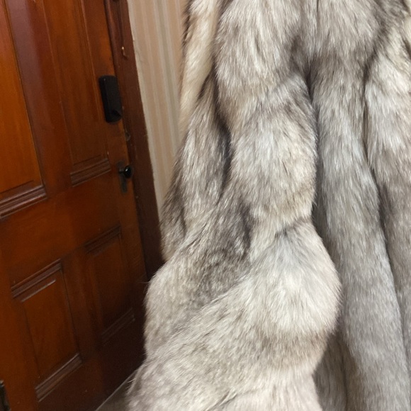 Saga Fox - Picture 2 of 5